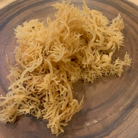 St Lucia Gold Sea Moss (Wildcrafted)