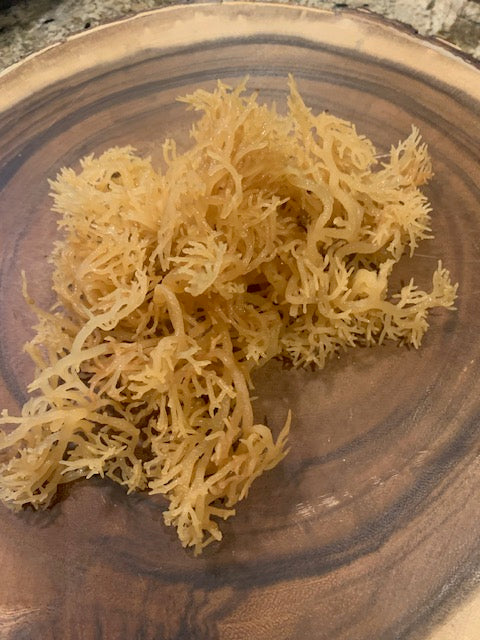 St Lucia Gold Sea Moss (Wildcrafted)