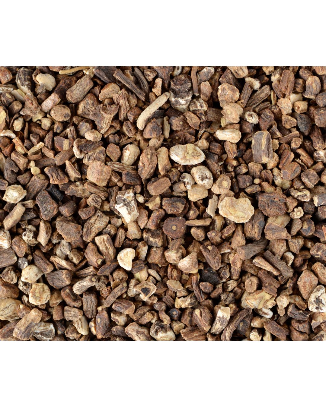 Dandelion Root (Taraxacum officinale)