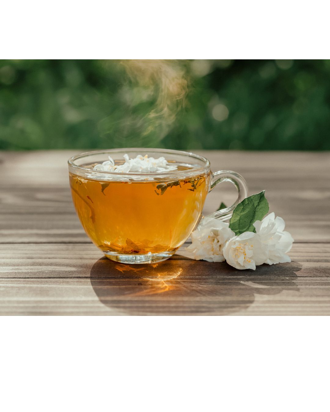 Jasmine Tea (Camellia sinensis & Jasmine flowers)